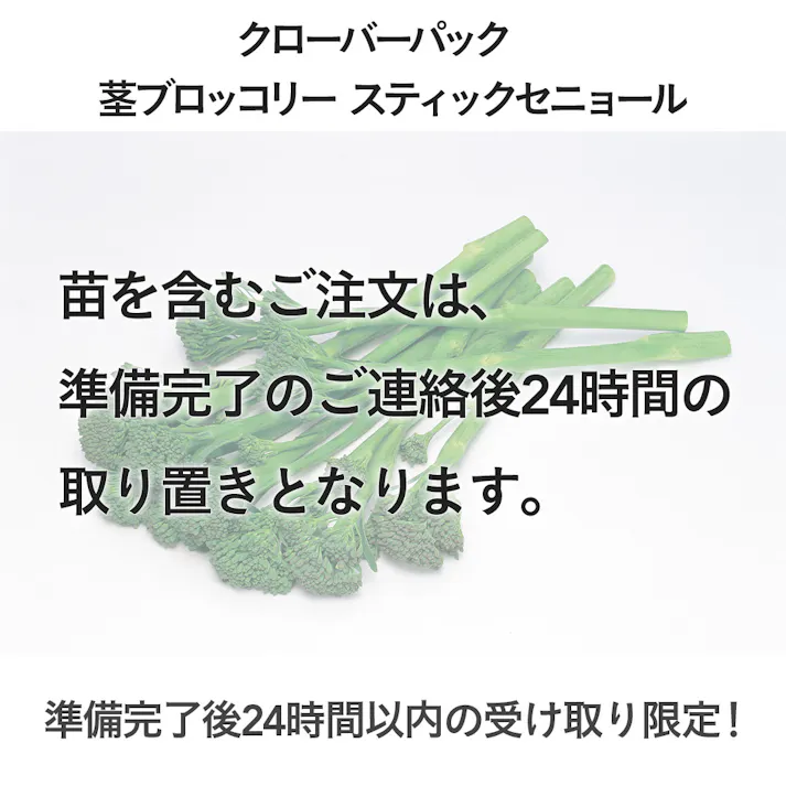 クローバーパック 茎ブロッコリー スティックセニョール