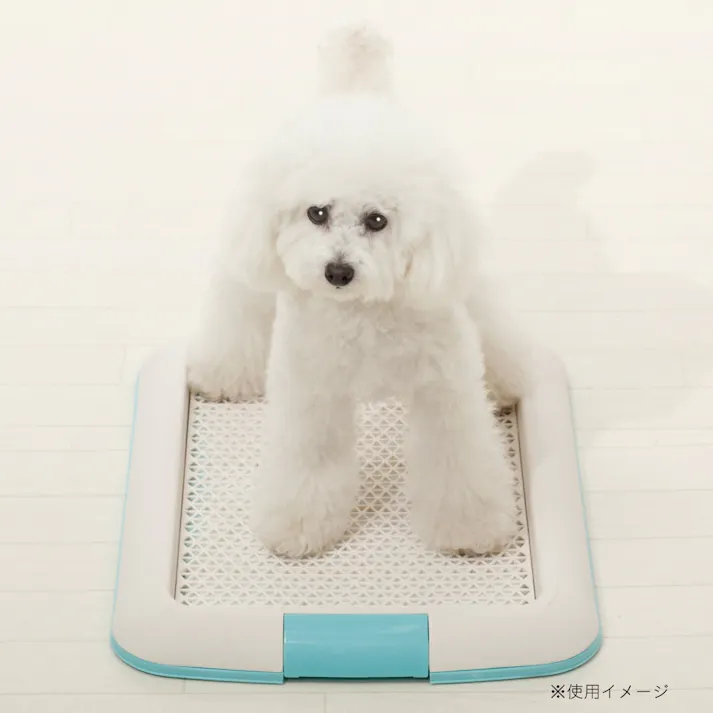 カインズ メッシュ付きペットシーツトレー ブルー ワイド 幅60cm 奥行45cm 高さ3.7cm ペットシート用トレー ペット用トイレ