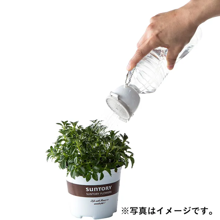 ペットボトル用シャワー PS-0706