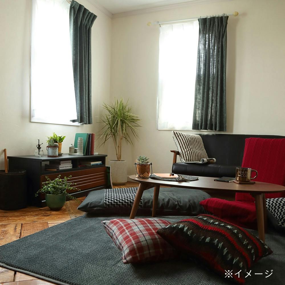 SE3 ローボード カルボナ CRB-4011H 【別送品】 | リビング収納