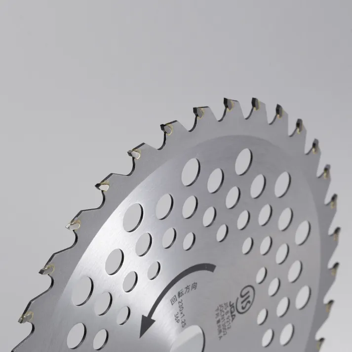 カインズ 刈払機用JIS規格チップソー 外径230mm BCK-230J