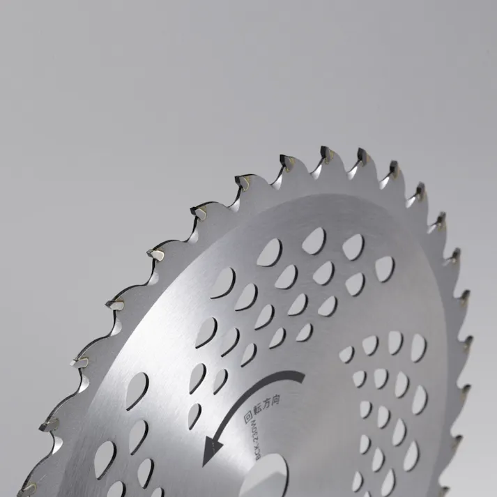 カインズ 刈払機用JIS規格チップソー ダブル刃 外径230mm BCK-230W