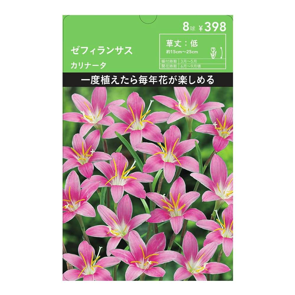 ガラス温室 花・爬虫類の飼育などに - 山形県の家具