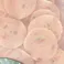 Pet’sOne ササミチップス野菜入り 240g