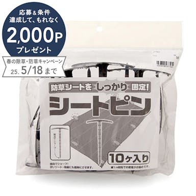 シートピン 10P