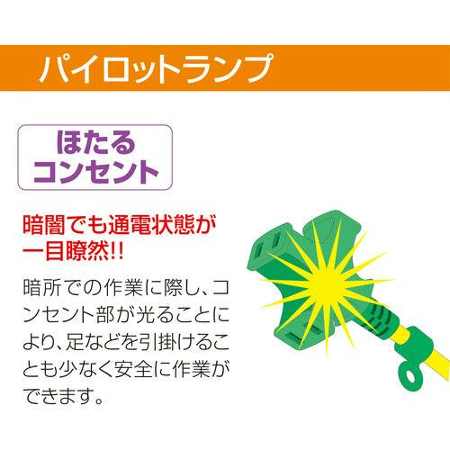 CAINZ-DASH】日動工業 延長コード 十字型トリプルランプ付 100V 2