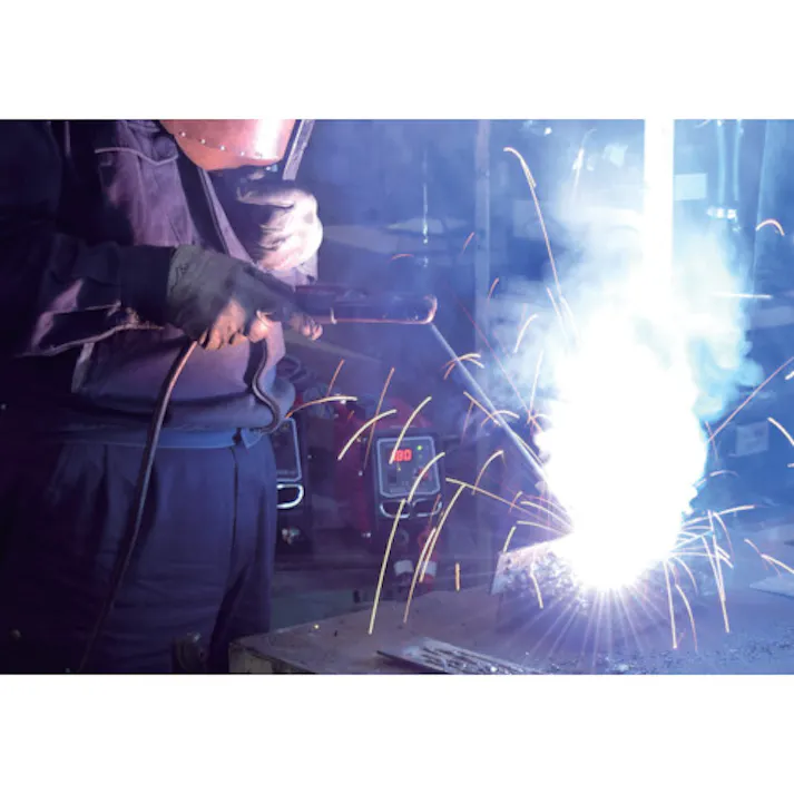 【CAINZ-DASH】日動工業 デジタルインバーター直流溶接機 BMウェルダー180 単相200V専用 BM2-180DA【別送品】