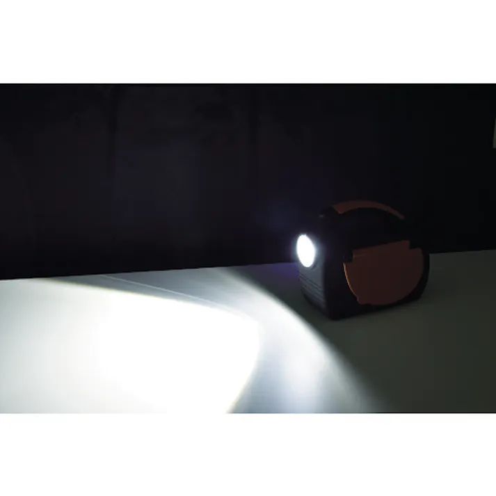 【CAINZ-DASH】日動工業 エンジンスターター ビッグバンF1 収納ケース付 AS-1224JS-S-BOX【別送品】