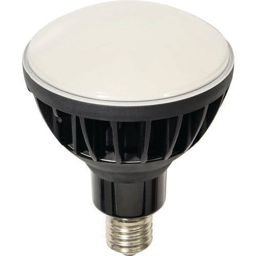 日動工業 LED交換球 ハイスペックエコビック50W E39 本体黒 L50V2-J110BK-50K(14160) LED投光器 日動工業 LED交換球 ハイスペックエコビック50W E39 本体黒 L50V2-J110BK-50K(14160) LED投光器