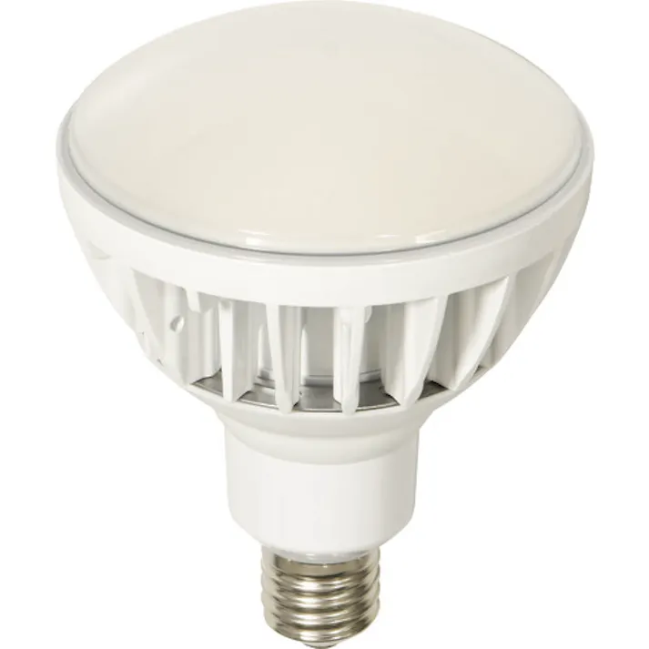 【CAINZ-DASH】日動工業 LED交換球 ハイスペックエコビック50W E39 本体白 L50V2-J110W-50K【別送品】