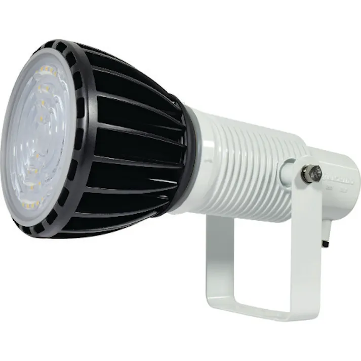 【CAINZ-DASH】日動工業 エコビックLED投光器100W 常設用 スポット アース付 電線2m 本体白、電球黒 ATL-E100J-SW-50K【別送品】