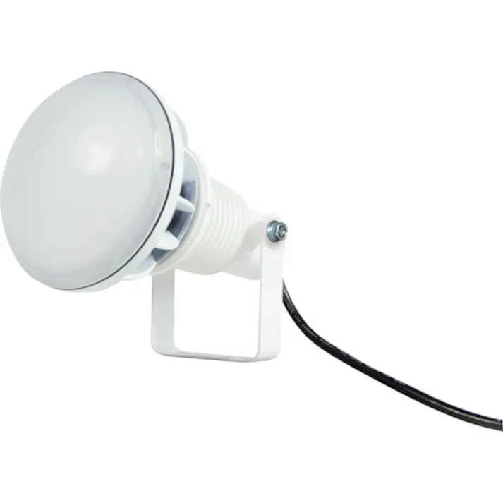 【CAINZ-DASH】日動工業 エコビックLED投光器50W 常設型 昼白色 電線1.5m 本体白 AFL-E50J-W【別送品】