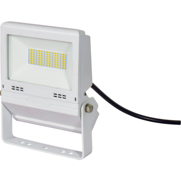 Cainz Dash ｌｅｄ投光器 常設用フラットライト３０ｗ 白 別送品 ホームセンター通販 カインズ