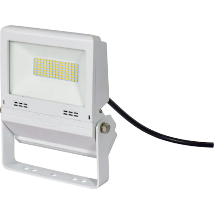 【CAINZ-DASH】日動工業 LED投光器 常設用フラットライト30W 白 LJS-FH30D-W-50K【別送品】