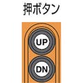 【CAINZ-DASH】象印チェンブロック α型電気チェーンブロック・１６０ｋｇ・６ｍ・単相１００Ｖ　（αＳ－０１６　　６ｍ） AS-K1660【別送品】