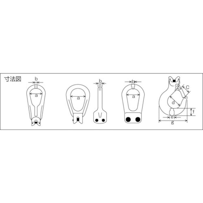 【CAINZ-DASH】象印チェンブロック チェーンスリング１００（ピンタイプ） 2-W-H-6.3【別送品】