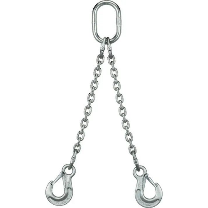 【CAINZ-DASH】象印チェンブロック SUS製チェーンスリング2本吊りスリングフックタイプ 0.6t【別送品】
