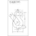 【CAINZ-DASH】象印チェンブロック チェーンスリング１００（アイタイプ）荷重４．２ｔ　線径１３ｍｍ　Ｌ２ｍ 1-MFF-YP-13【別送品】