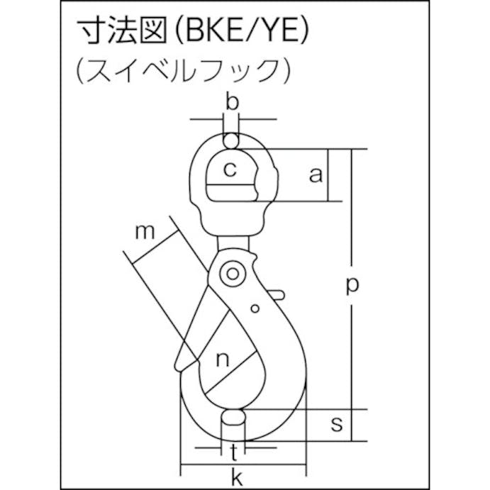 【CAINZ-DASH】象印チェンブロック チェーンスリング１００（アイタイプ）荷重４．２ｔ　線径１２．５ｍｍ　Ｌ２ｍ 1-MFF-BKE-13【別送品】