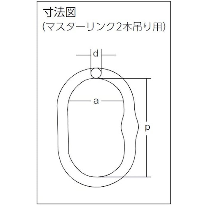 【CAINZ-DASH】象印チェンブロック チェーンスリング１００（アイタイプ）荷重４．３ｔ線径１０．０ｍｍＬ１．５ｍ（２－ＭＦＦ－ＳＨＥ－１０） 2-MFF-SHE-10【別送品】