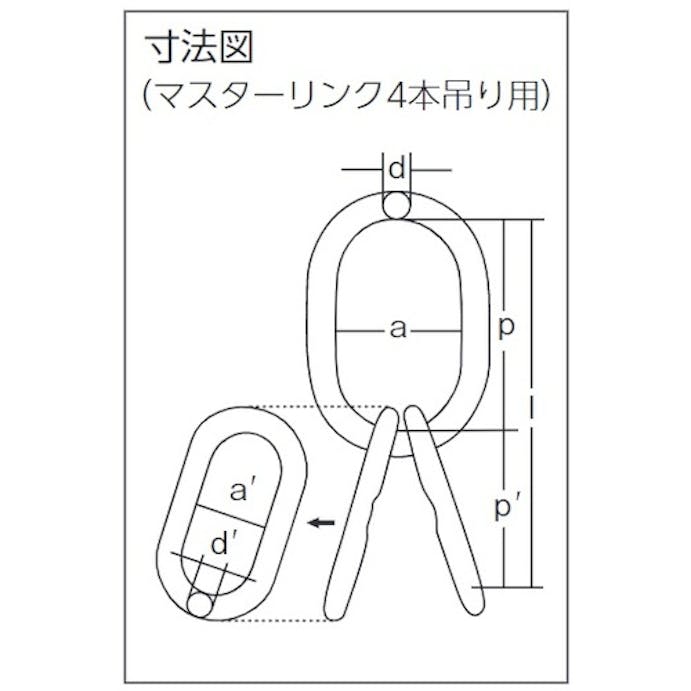 【CAINZ-DASH】象印チェンブロック チェーンスリング１００（アイタイプ）荷重４．１ｔ線径７．１ｍｍ　Ｌ１．５ｍ 4-TG-BKE-7.1【別送品】