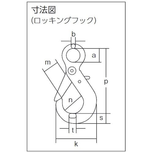 CAINZ-DASH】象印チェンブロック チェーンスリング１００（アイタイプ