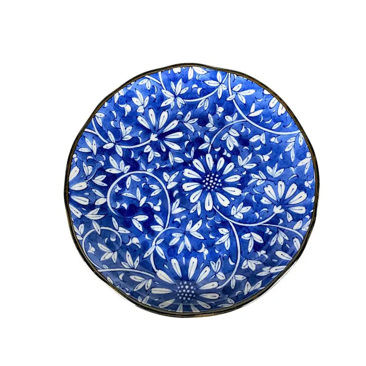 藍華 5.0皿