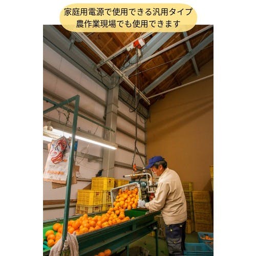 CAINZ-DASH】キトー KITO 電気チェーンブロック キトーセレクト