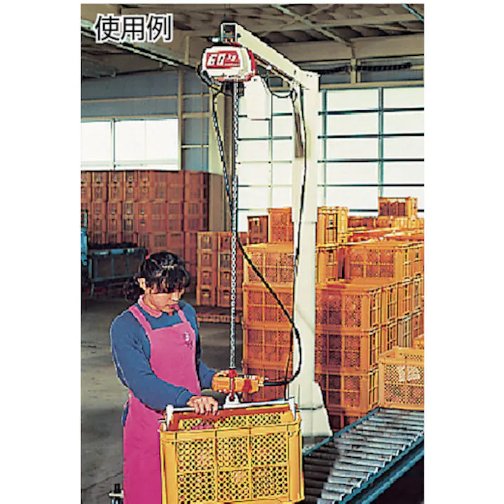 【CAINZ-DASH】キトー 電気チェーンブロック キトーセレクト 2速形 100kg×3m ED10ST【別送品】