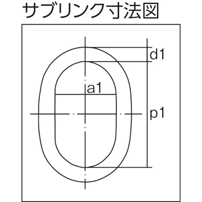 【CAINZ-DASH】キトー チェンスリング　カナグ部材（アイタイプ）　サブリンク付マスターリンクＨＭＦ　基本使用荷重２．８ｔ／３．８ｔ HMF07【別送品】