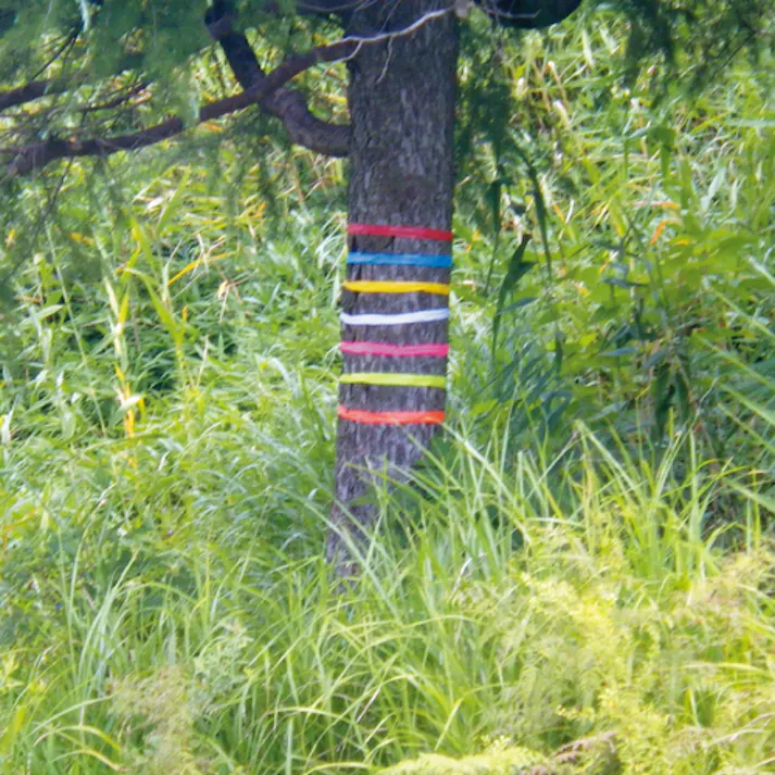 【CAINZ-DASH】マイゾックス ビニールテープホワイト1巻入<BT-15W> BT-15W【別送品】