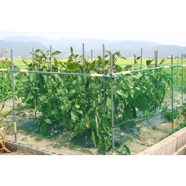 【CAINZ-DASH】日本ワイドクロス アニマルネット 幅2m×長さ50m 目合20×25mm GR2520200050【別送品】