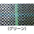 【CAINZ-DASH】日本ワイドクロス 防草シ－ト　ＢＧ１５１５－２Ｘ１００　グリーン BG1515-2X100【別送品】