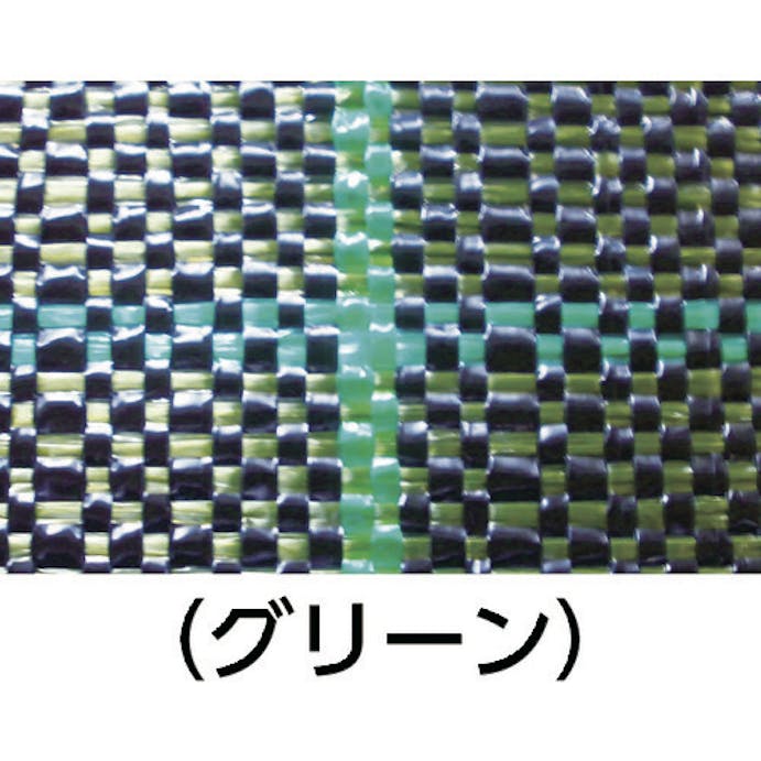 【CAINZ-DASH】日本ワイドクロス 防草シ－ト　ＢＧ１５１５－２Ｘ１００　グリーン BG1515-2X100【別送品】