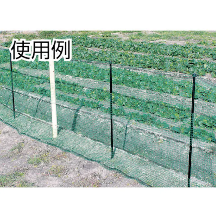 【CAINZ-DASH】日本ワイドクロス 防護ネット アニマルネットホールタイプ(杭付セット) 幅1m×長さ20m 目合16mm HGR-161020【別送品】