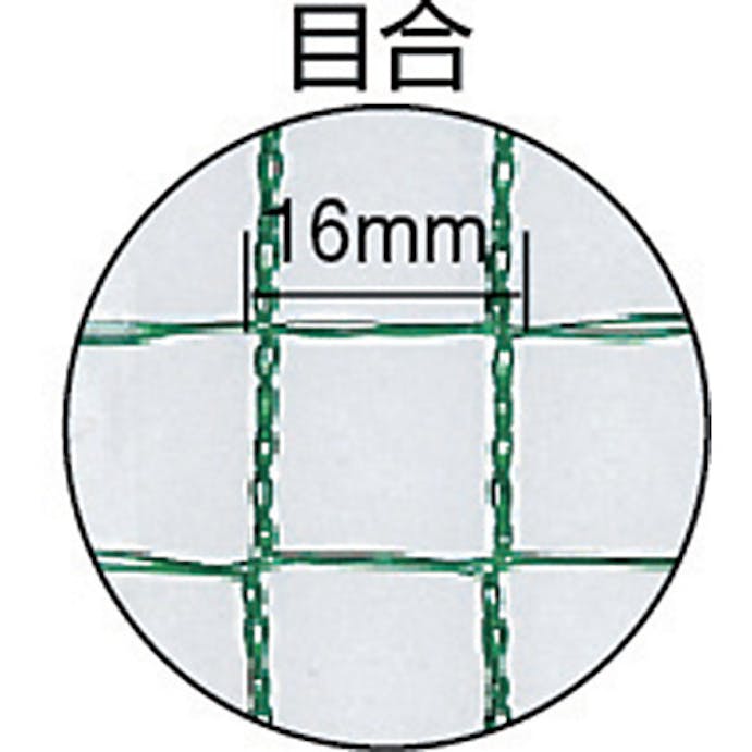 【CAINZ-DASH】日本ワイドクロス アニマルネット（鳥よけネット）１ｍ×５０ｍ GR-16-1050【別送品】