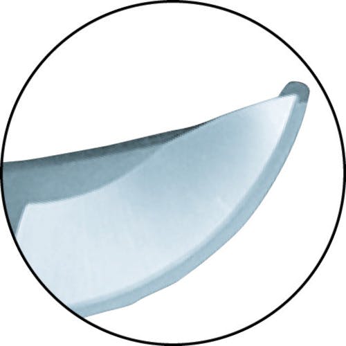 CAINZ-DASH】大進 EG アルミダイキャスト剪定鋏DX 502099【別送品