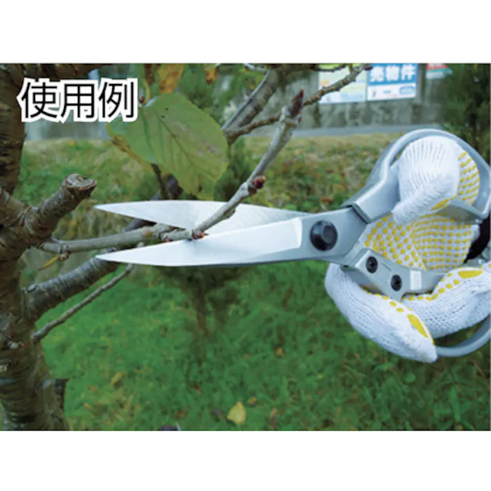 【CAINZ-DASH】大進 EG アルミダイキャスト植木鋏DX 502105【別送品】