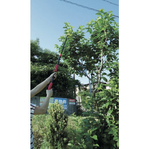 KNYMさん　専用 大進 DS-C1629 軽量高枝切鋏 標準刃 大進｜DAISHIN 通販