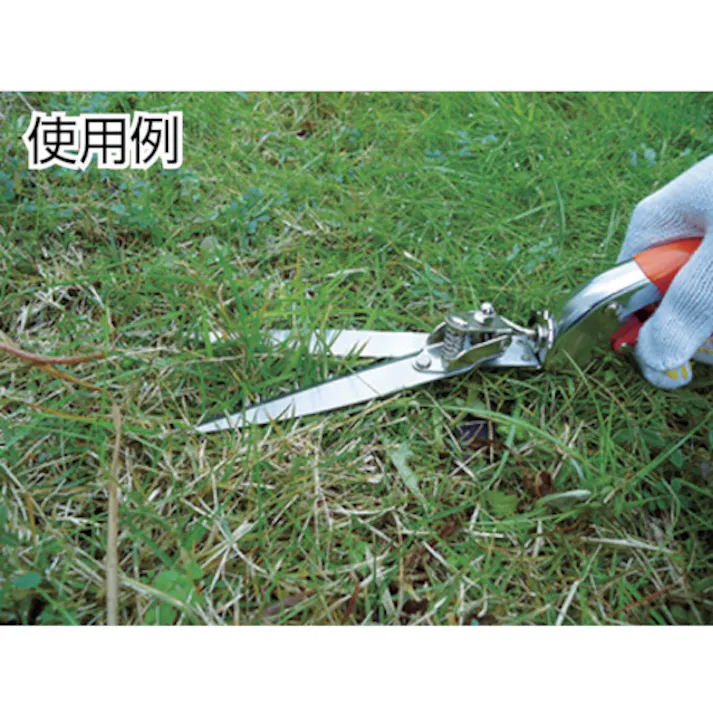 【CAINZ-DASH】大進 回転式芝生鋏ステンレス 701041【別送品】