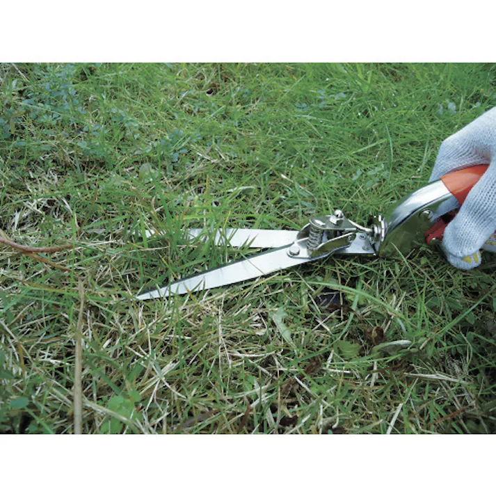 【CAINZ-DASH】大進 回転式芝生鋏ステンレス 701041【別送品】