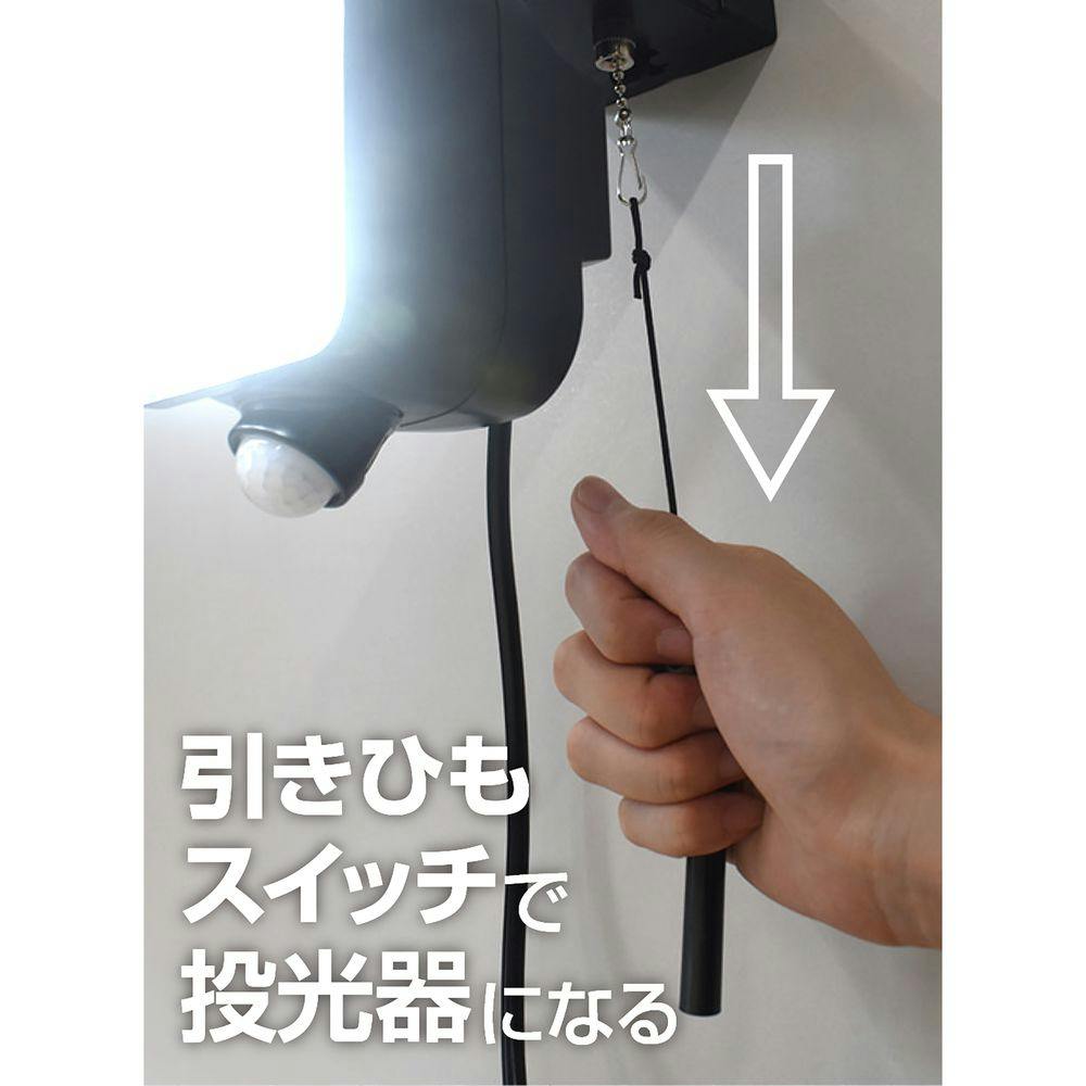 常時点灯機能付きセンサーライト AC式 ワイド DLA-13T900CZ