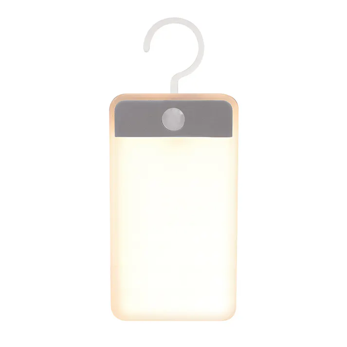 ワイヤレス連動式センサーライト フック・置き型2個入 DLB-WLI100F-2P