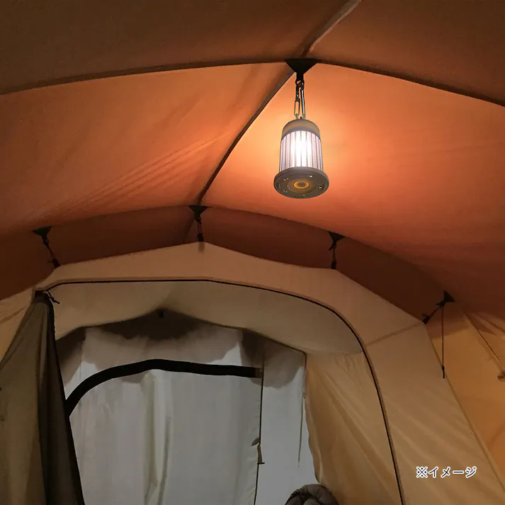 バチッと一撃 電器コバエ取り器
