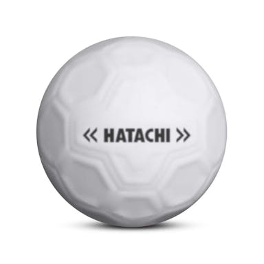 HATACHI ハタチ グランドゴルフ シュートボール ホワイト