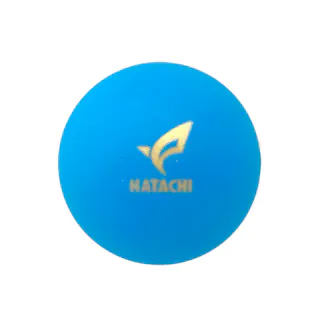 HATACHI ハタチ グラウンドゴルフ ウィン4 ブルー BH3433