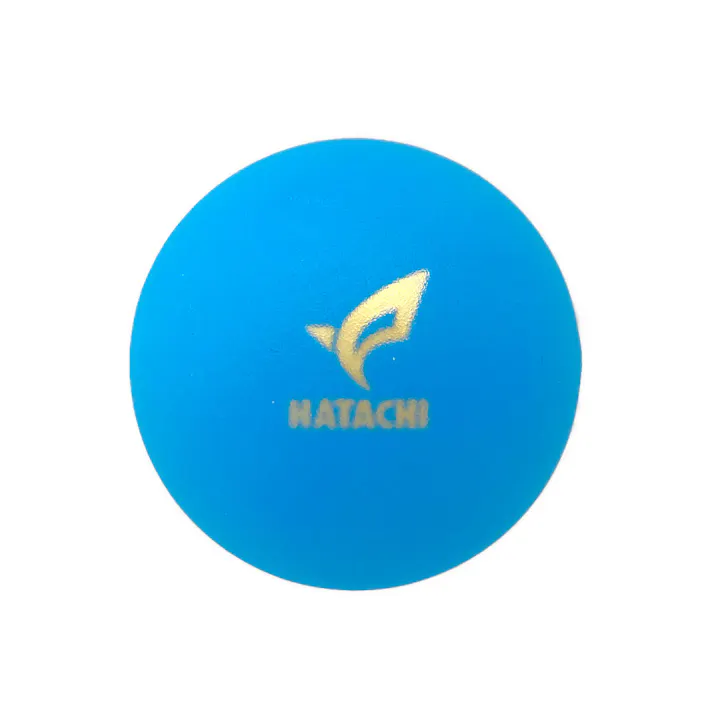 HATACHI ハタチ グラウンドゴルフ ウィン4 ブルー BH3433