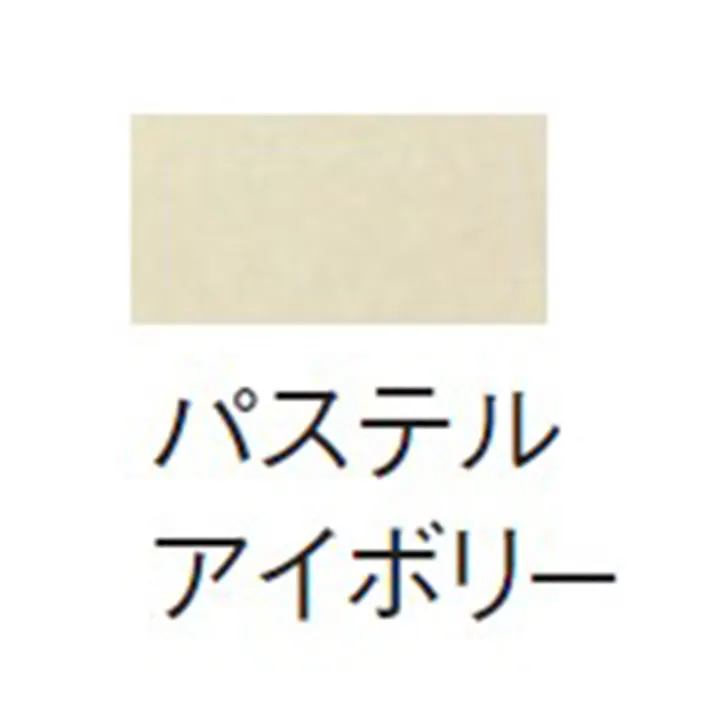 化粧キャップ付木ネジ TDY53DN#SC1