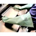 【CAINZ-DASH】ダイヤゴム 耐溶剤用手袋　ダイローブ４４０－５５（Ｌ） D440-55-L【別送品】