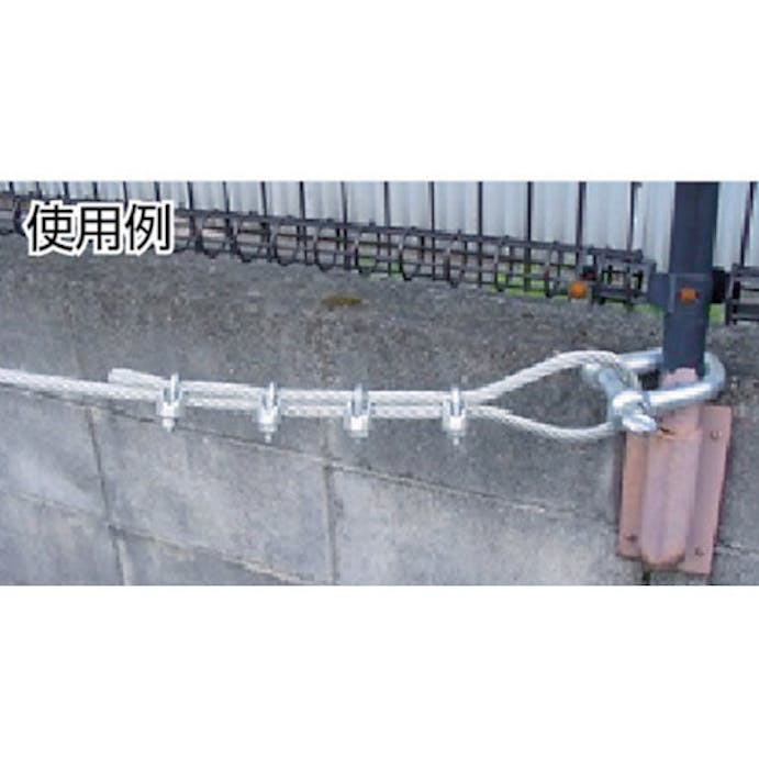 【CAINZ-DASH】日興製綱 ワイヤークリップ　（鋳鉄製）　（２個入） WCP-6【別送品】